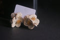 Imperial Bloom Studs